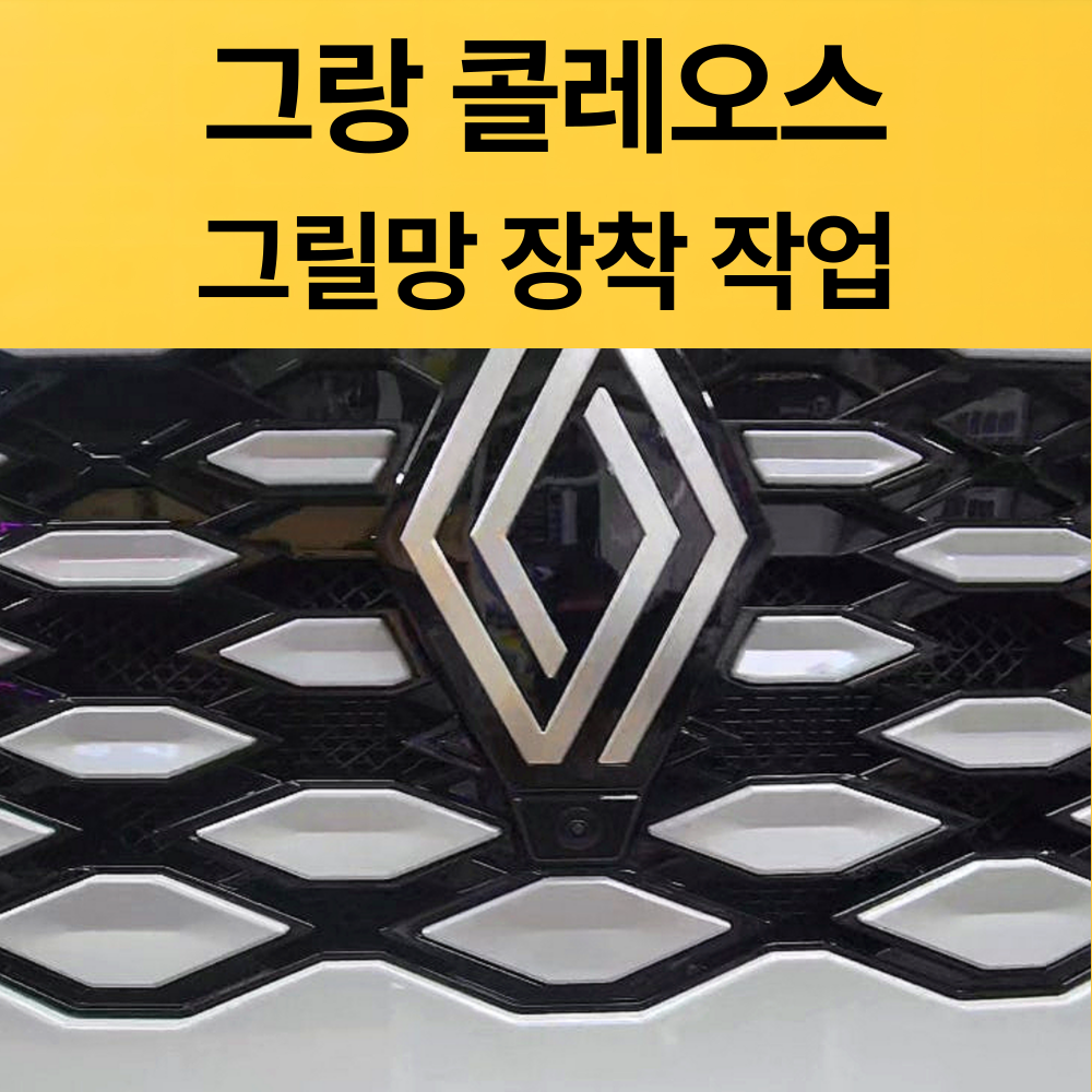 그랑콜레오스 그릴망